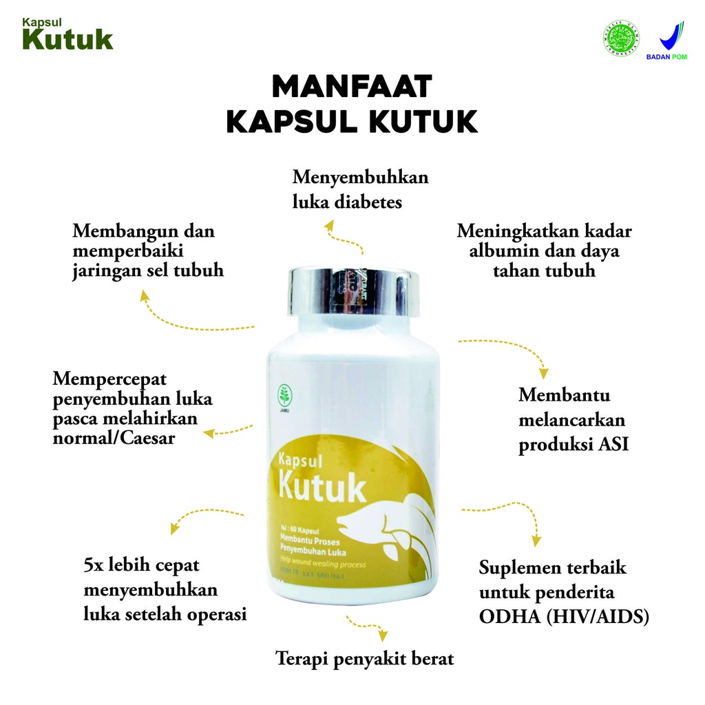 Promo KAPSUL KUTUK Ekstrak Albumin Ikan Gabus Original / Pengering Luka Diabetes &amp; Operasi Bekas Luka Cepat Kering / Pelancar Asi Booster