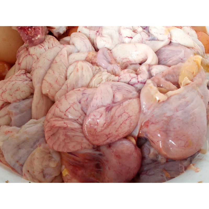 

uritan atau kantong telor isi 1kg /uritan ayam merah/kantong telor/ayam afkir/ayam tua