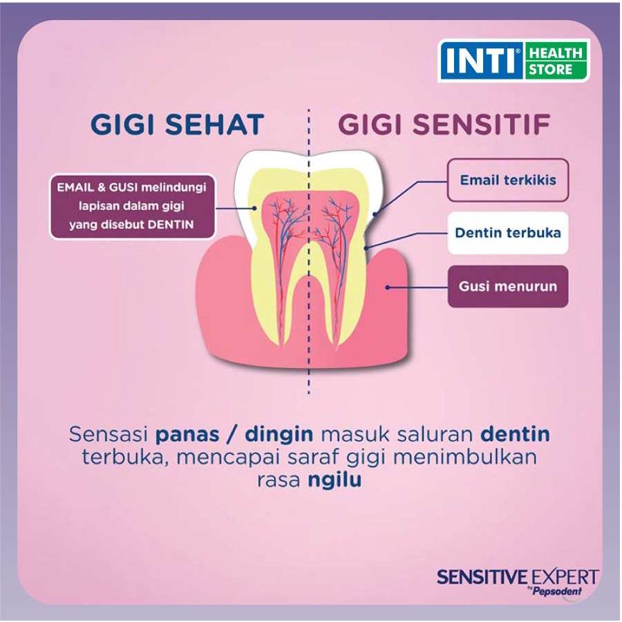 Pepsodent | Sensitive Expert | Pasta Gigi | Gum Care | 100gr