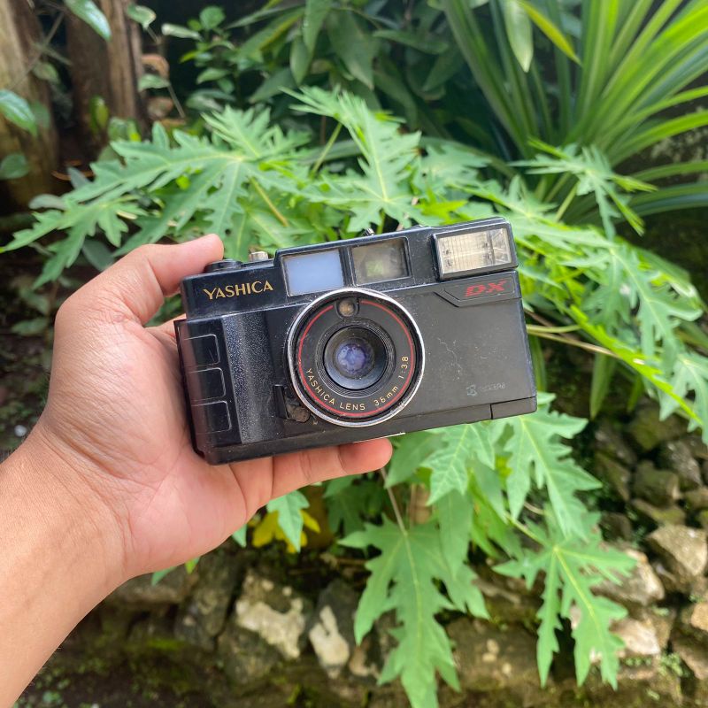 Kamera Analog Jadul Vintage Film Kodak Untested Pajangan Display Part Utuh Mulus Gambling Fujifilm Dl-100 Chic Dl-10Flezz Axion Axxi Zo Vio Zipp Xpose Canon Prima Bf Minolta Olympus Kyocera Yashica National Nikon Ricoh Gambling Kanibal Part Utuh-Yashica MF 2 Super