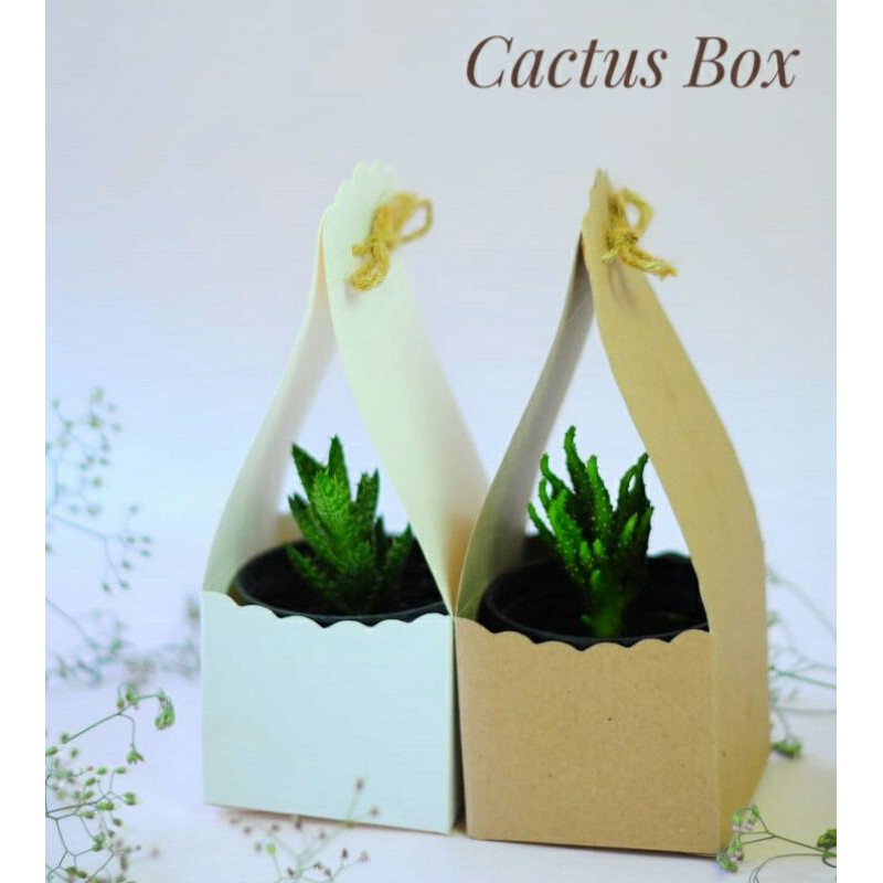 

CACTUS BOX / BOX CACTUS / PAPERBAG TENTENG KAKTUS (HARGA PER 10 PCS)