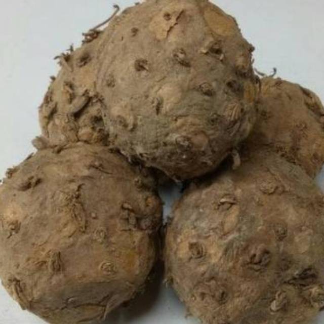 

1kg TemuLawak buah/ Temulawak seger/buah/asli