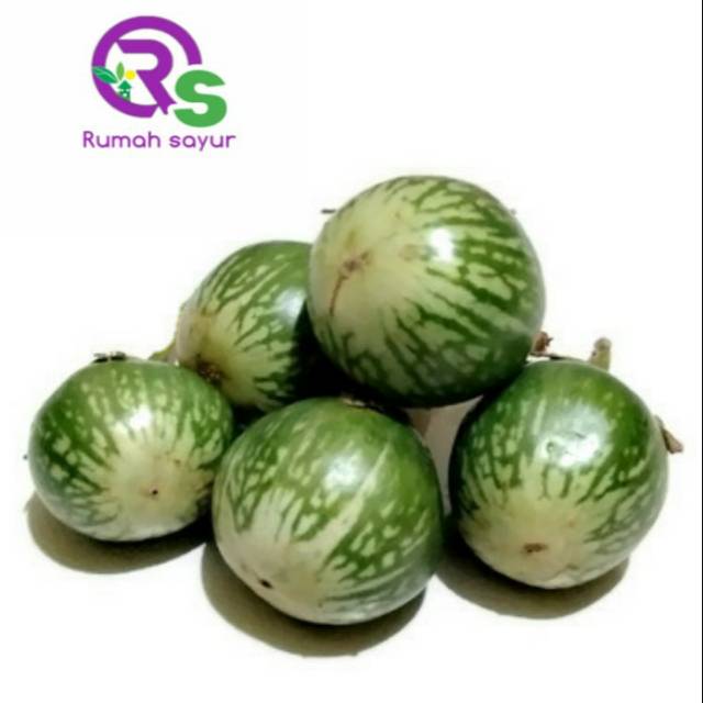 Jual Rumah Sayur Terong Lalap Hijau Bulat 1 Kg Shopee Indonesia