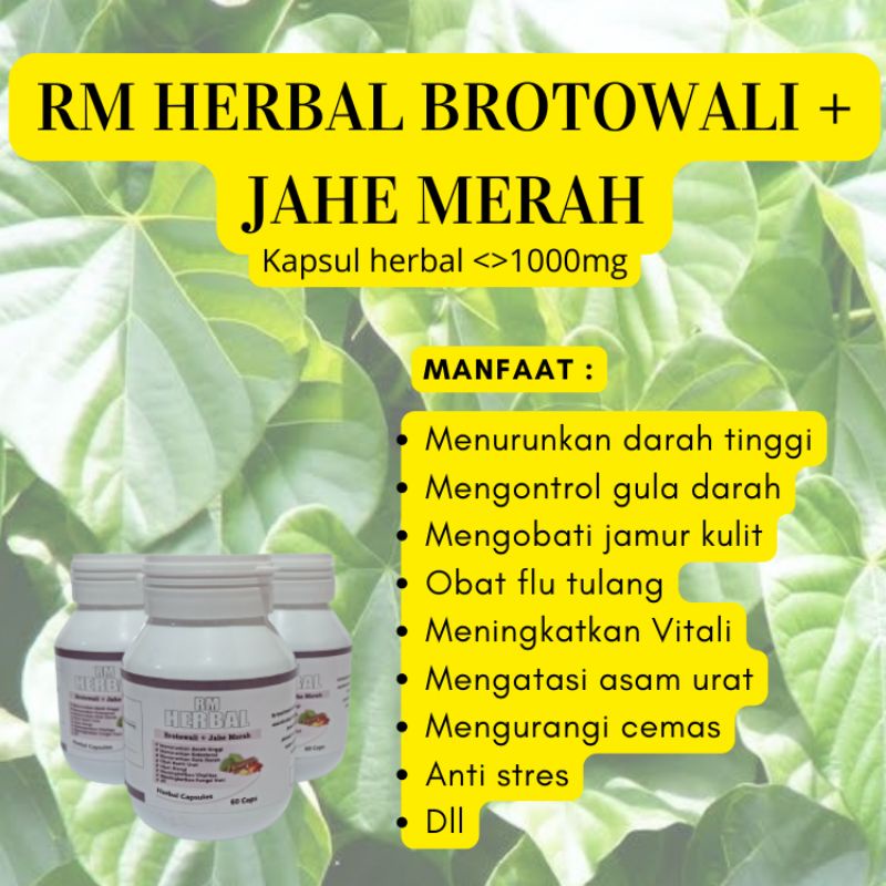 Jual Kapsul Brotowali Jahe Merah Rm Herbal Brotowali Kapsul Jahe