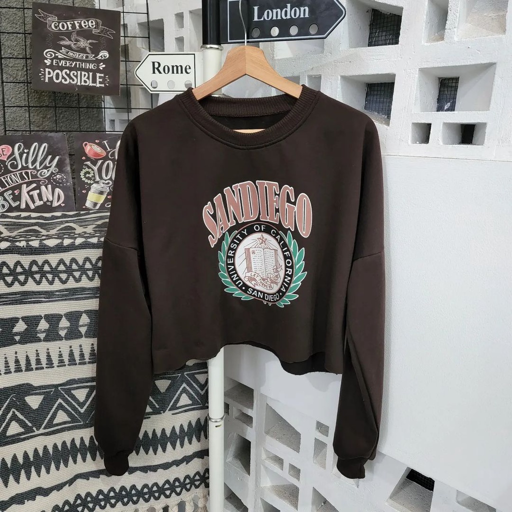 Sweater Crop Wanita Sandiego Bahan Pleece Korean Style