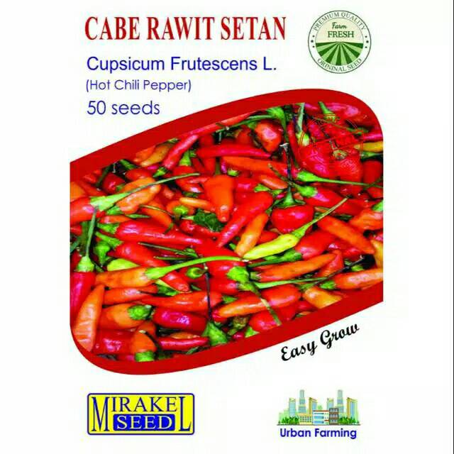 

CABE RAWIT SETAN Cupsicum Frutescens L Hot chili pepper isi 50 biji