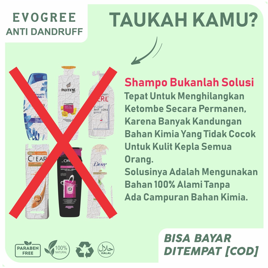 OBAT KETOMBE MEMBANDEL PALING AMPUH EVOGREE