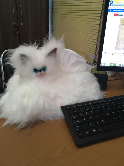 Tempat Tisue Kucing Imut