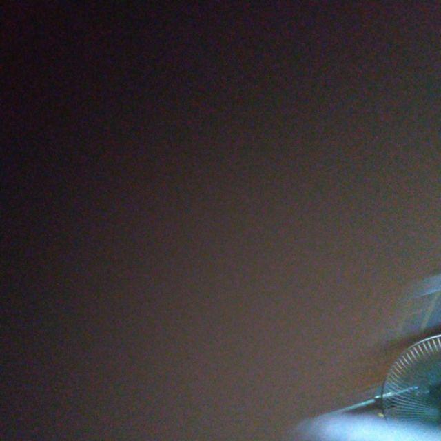 Tempat Tisu Full Kerang