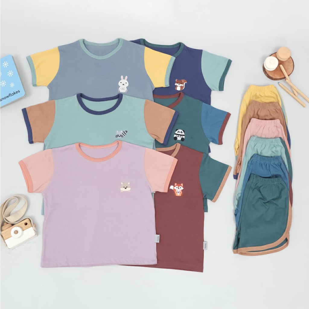 MOOI RETRO SET TRICOLLOR- Baju bayi/SETELAN ANAK MOOI/Mooi stelan Tshirt Retro set