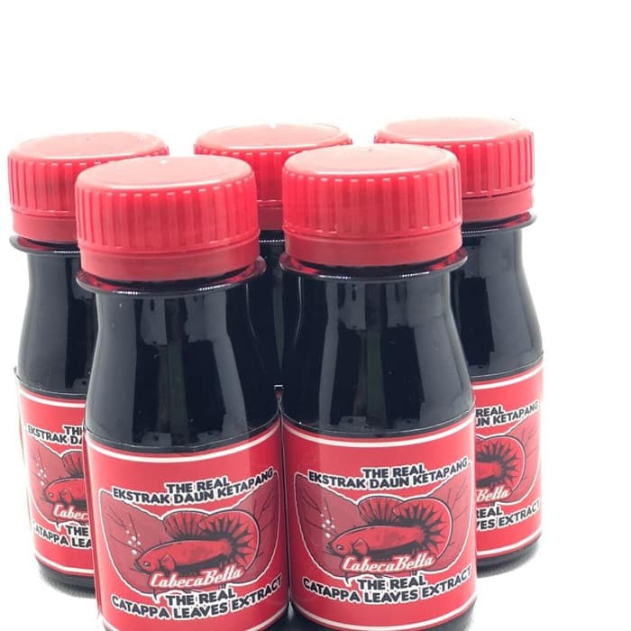 

Special Extrak Ketapang dan Thailand Herbal Terbatas