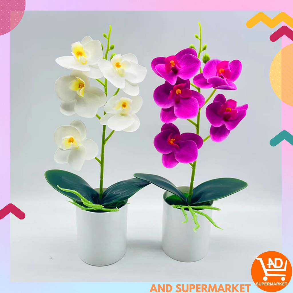 Bunga Hias Anggrek Gradient Tanaman Bunga Hias Plastik Murah Import Dekorasi Rumah Artificial Flowers Bunga Anggrek Palsu PBP73