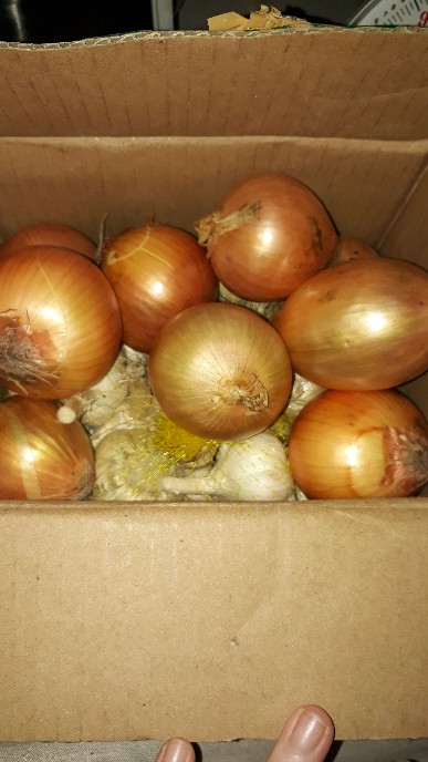 Bawang Bombay 1 Kg Jamin Termurah