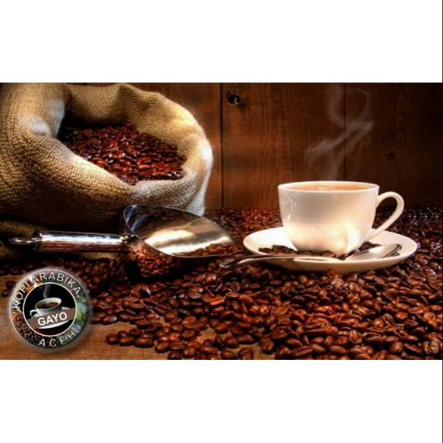 

Kopi Arabika gayo
