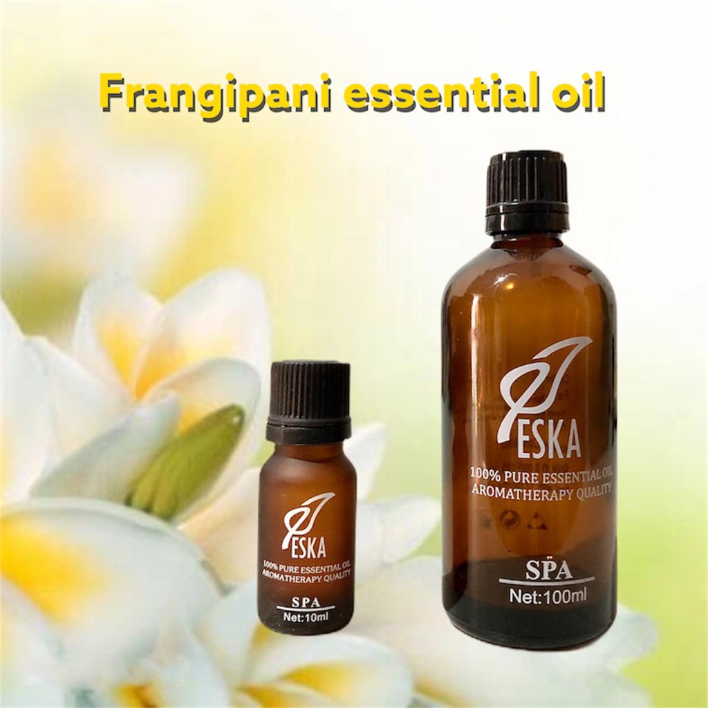 Essential Oil Frangipani