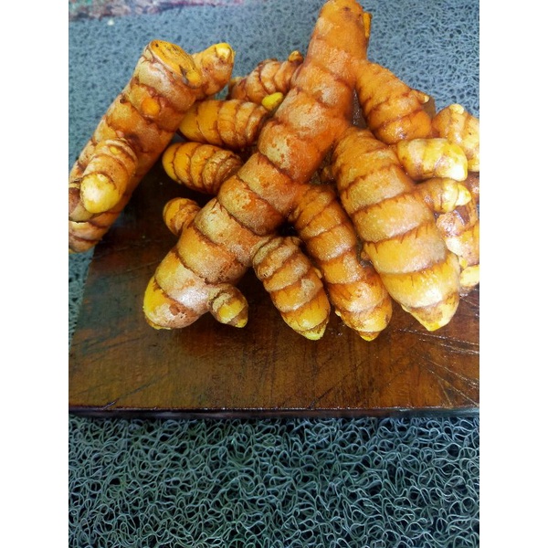 

Kunyit Besar SEGERR/Kunyit Super 1 kg/Bumbu Dapur/Rempah/Jamu