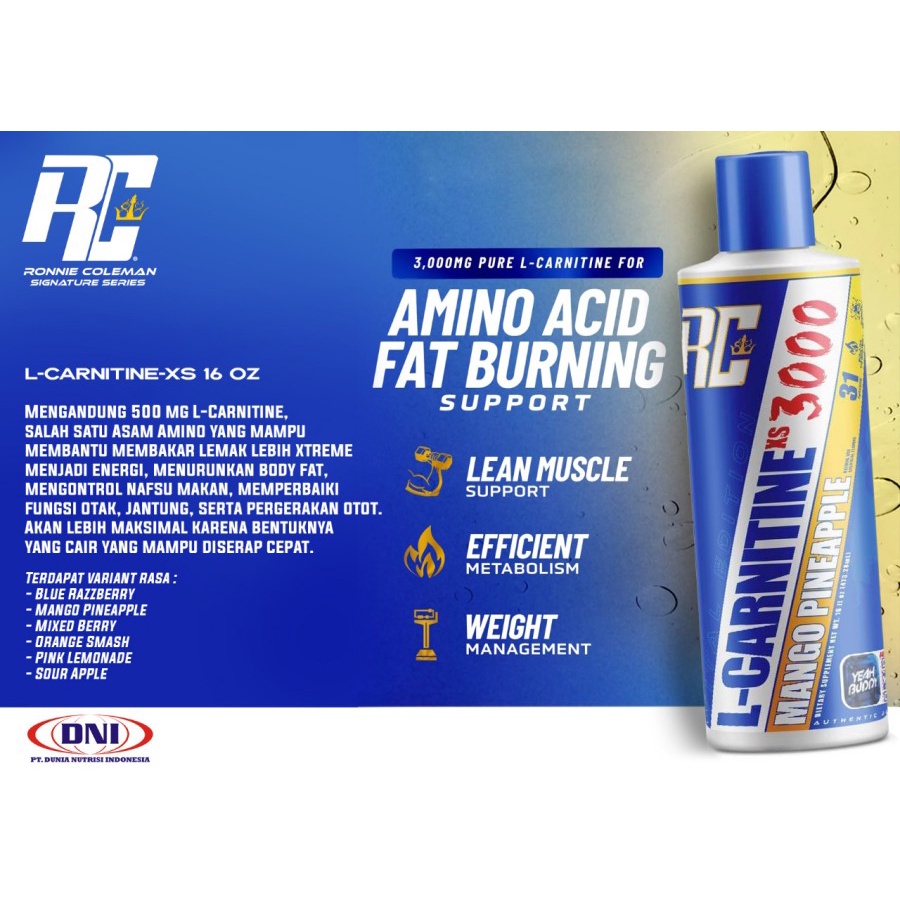 L CARNITINE L-CARNITINE LCARNITINE LIQUID XS 16 OZ RC