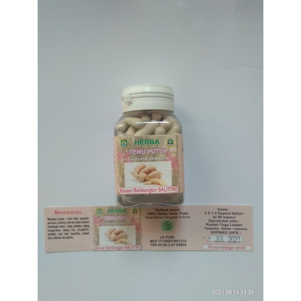 

Herba Temu Putih (Kapsul )