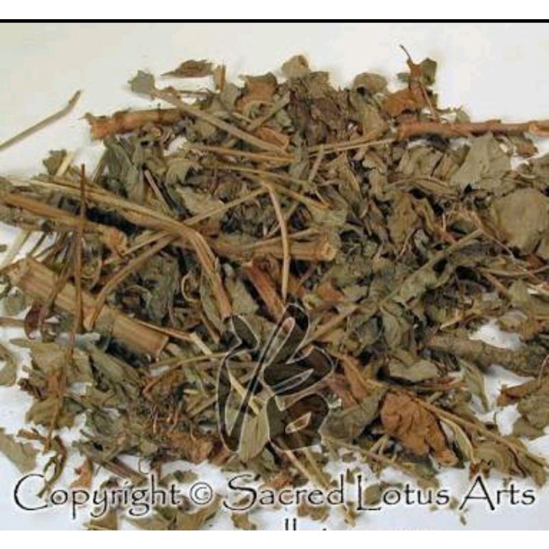 

600 G GR GRAM 仙鹤草 XIAN HE CAO HERBA AGRIMONIAE HAIRYVEIN AGRIMONIA HERB