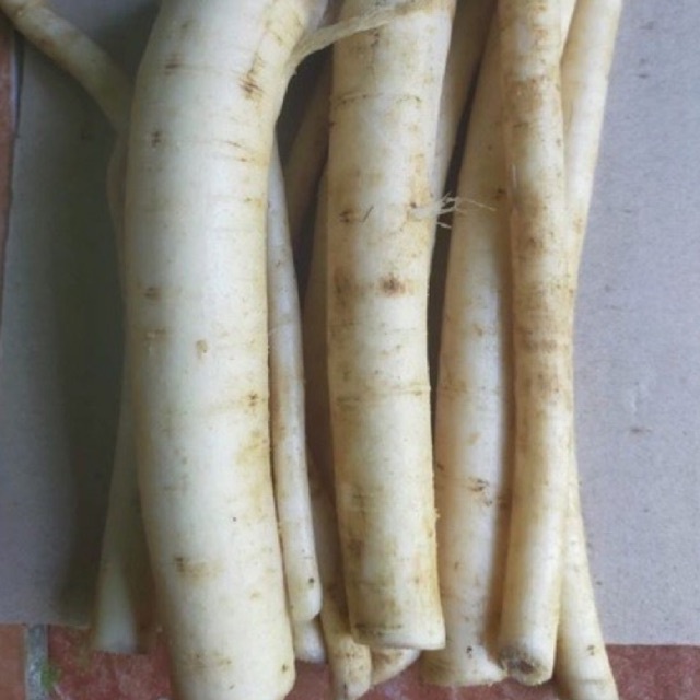 

Akar pepaya fres 500 gram