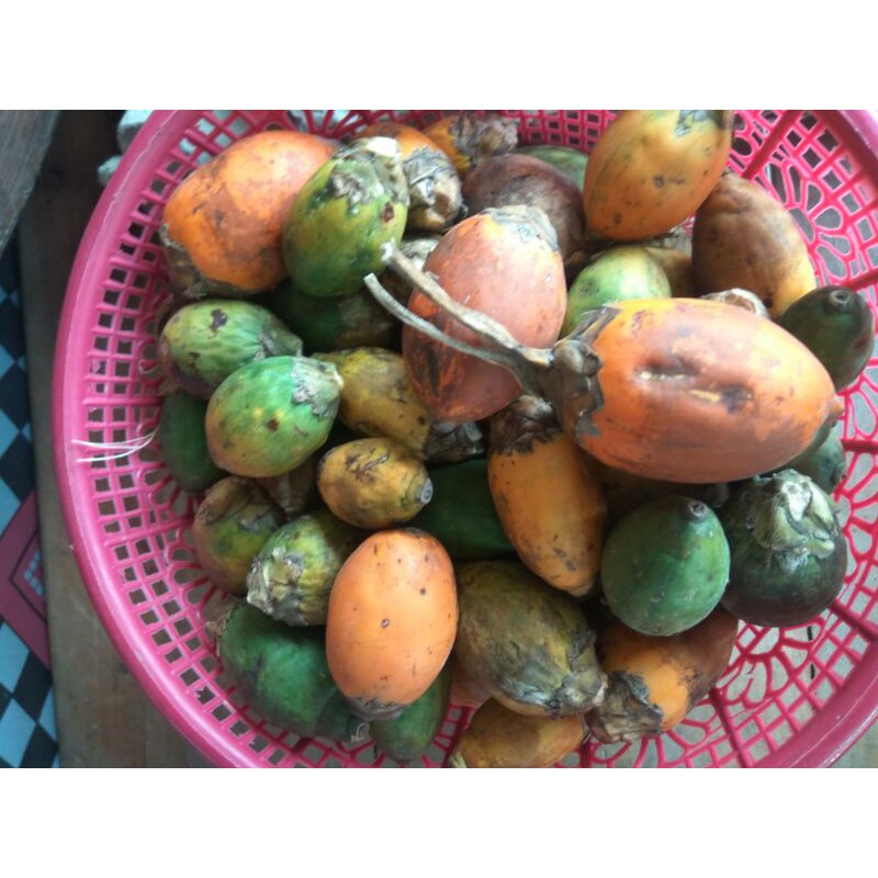 

Buah Pinang Jambe