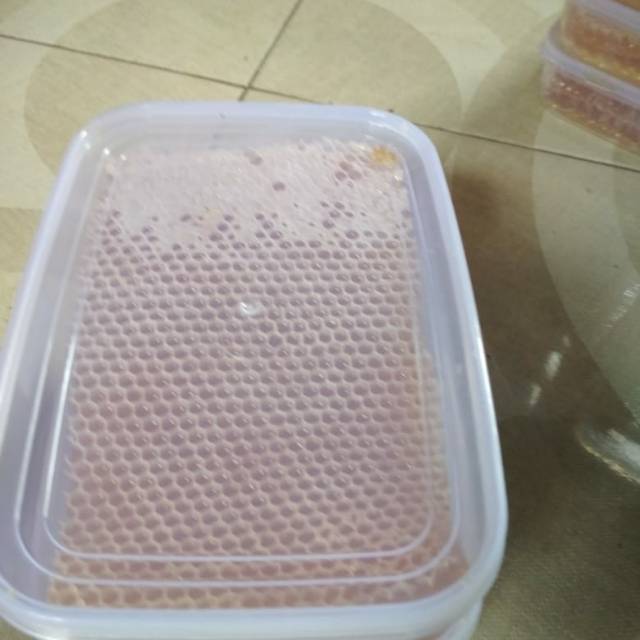 

Terlaris!!! Madu Sarang 250gram