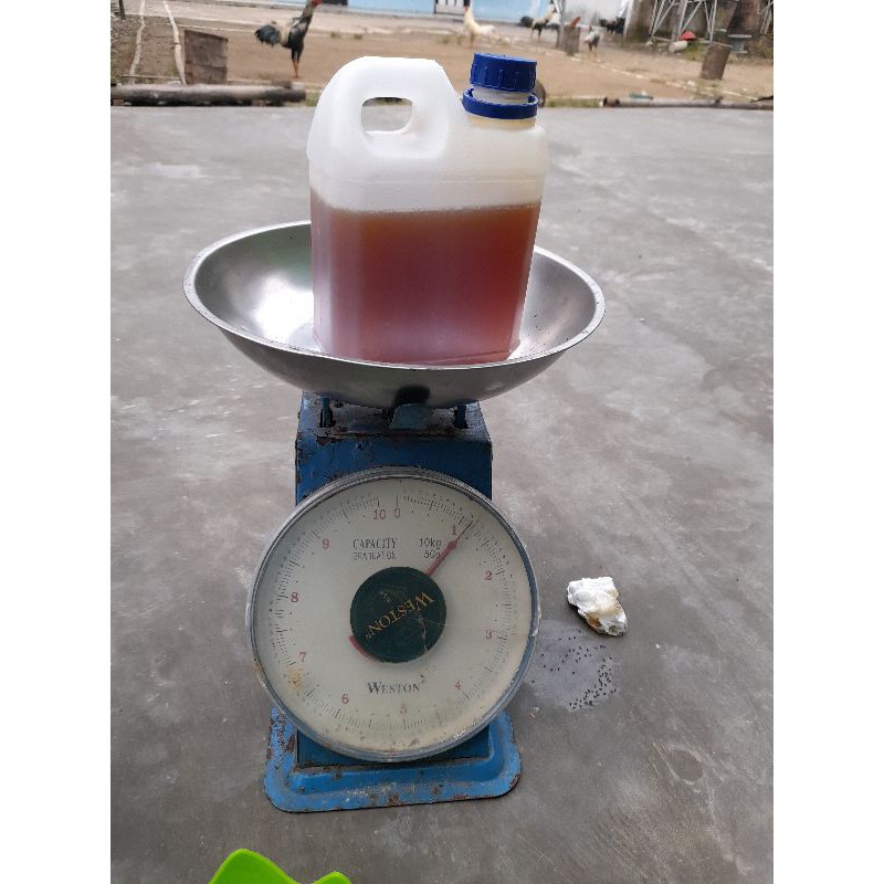 

madu sialang asli sumatra