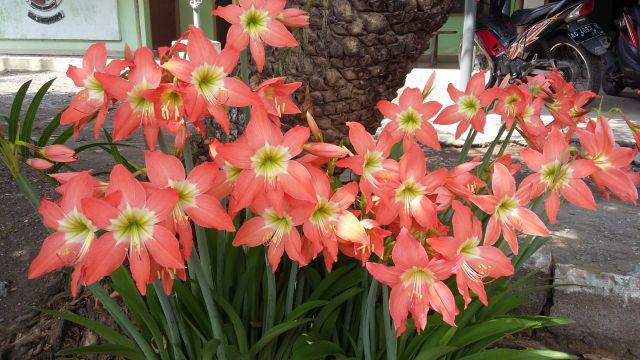 Nagita Gamis Batik Maxi Cape - Foto Pertama