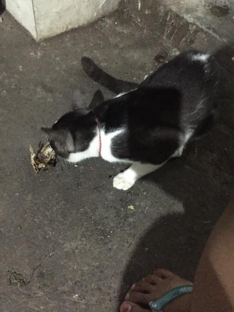 Kaos Couple Kekinian | Oblong Couple Keren | Soulmate Mandarin Hitam