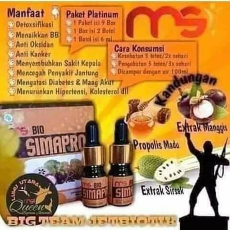 BIO SIMAPRO MSI ORIGINAL