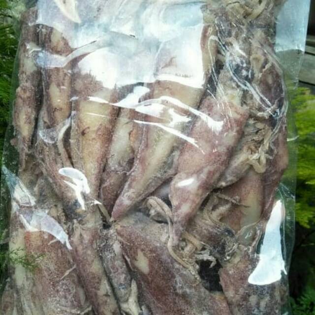

Cumi kering besar 500gram kualitas super tanpa pengawet