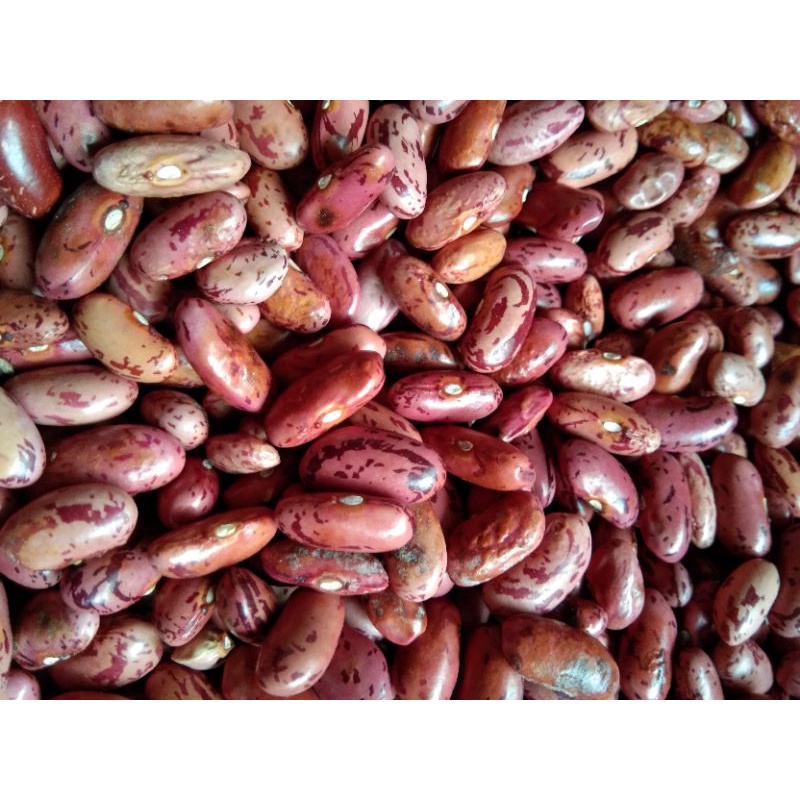 

kacang es merah / kacang jogo 1 kg