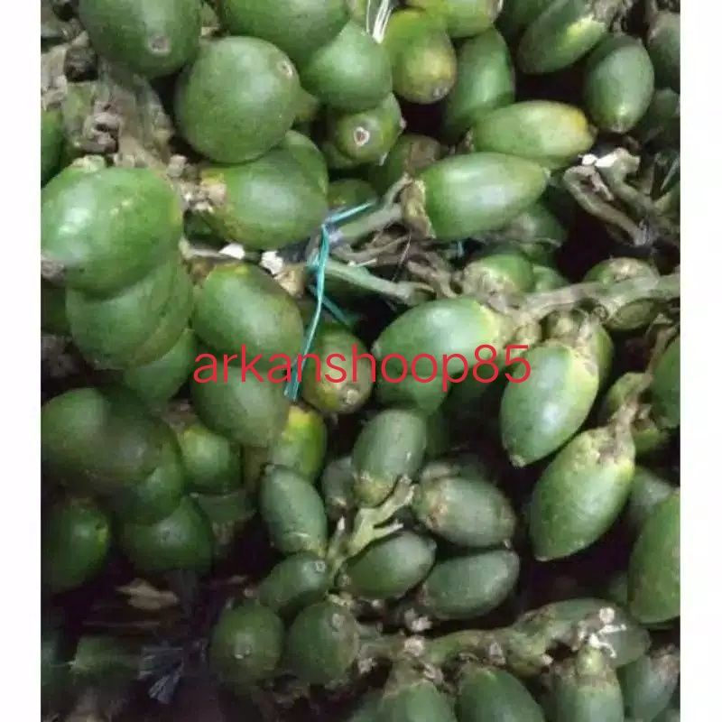 

buah pinang muda--jambe