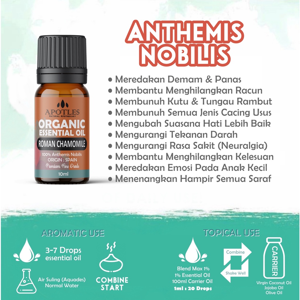 Roman Chamomile  Essential Oil - Minyak Aromaterapi Kamomil Essential Oil 10ml