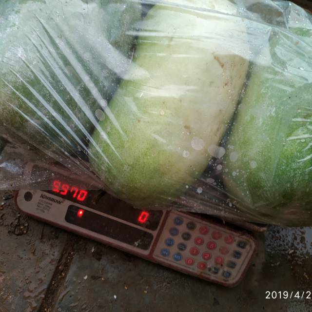 

Labu Kundur /kg