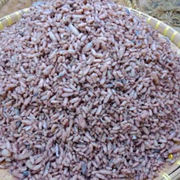 

HARGA TERMURAH ㆊ 100 gram baby cumi kering great A ukuran 0,5-2cm/3-5cm best seller Vღ