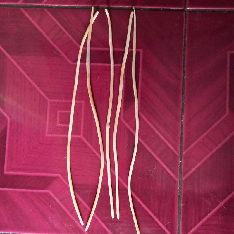 Karet pentil atau karet ketapel 10pcs