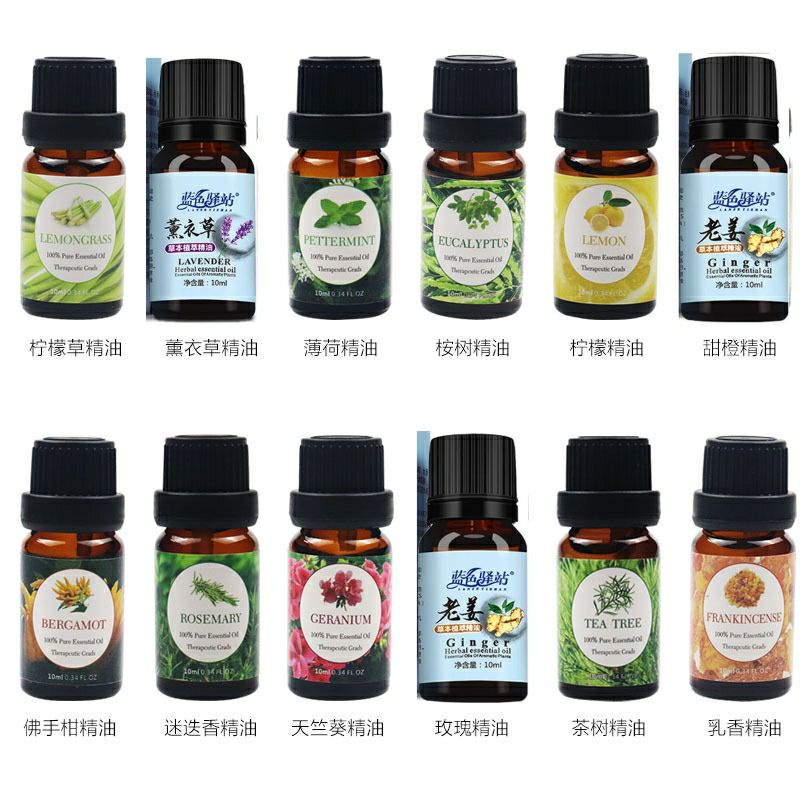 Minyak Aromaterapi Essensial Oil Aromateraphy 10ML Diffuser Humidifier