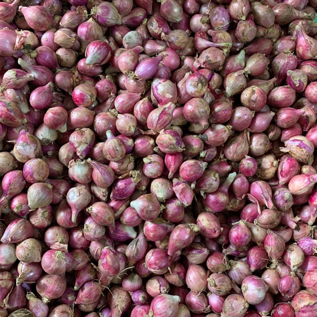 

Bawang Merah Brebes 500gr