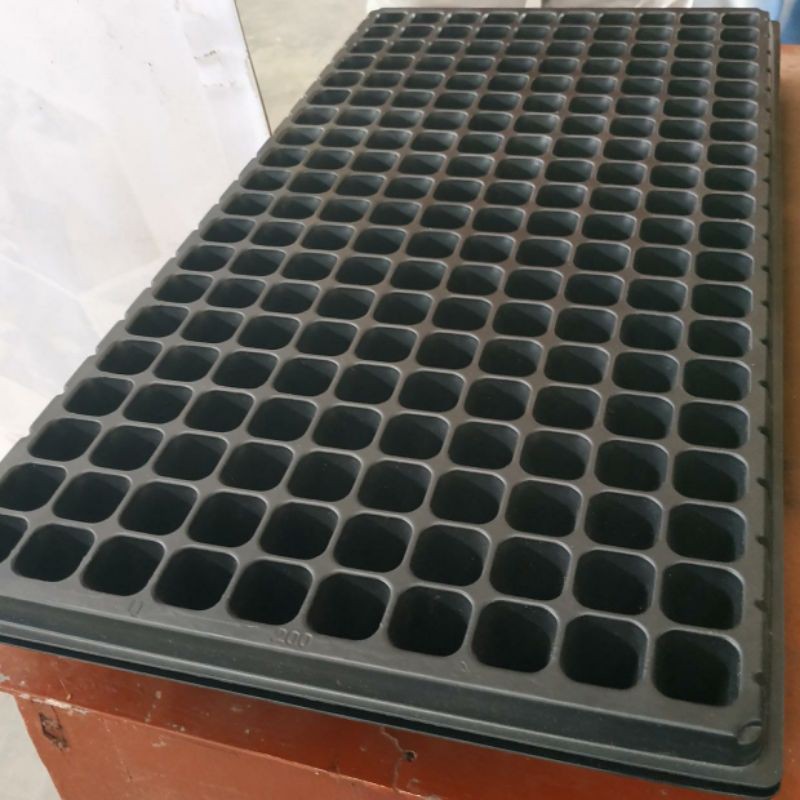 Tray semai 200 lubang Tebal 1mm