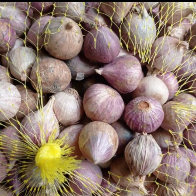 

>>>>>] Bawang Putih tunggal 250 gram