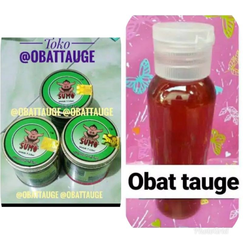 1Paket Obat tauge / Obat merah tauge / Obat Tauge Sumo / Nutrisi Sumo