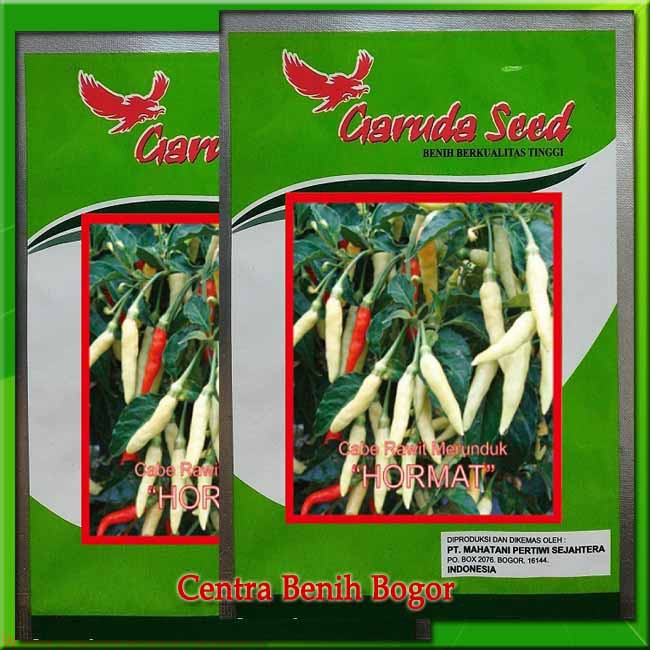BIBIT CABE CABAI RAWIT PUTIH UNGGUL VARIETAS HORMAT -BENIH CABE RAWIT ISI 10GR