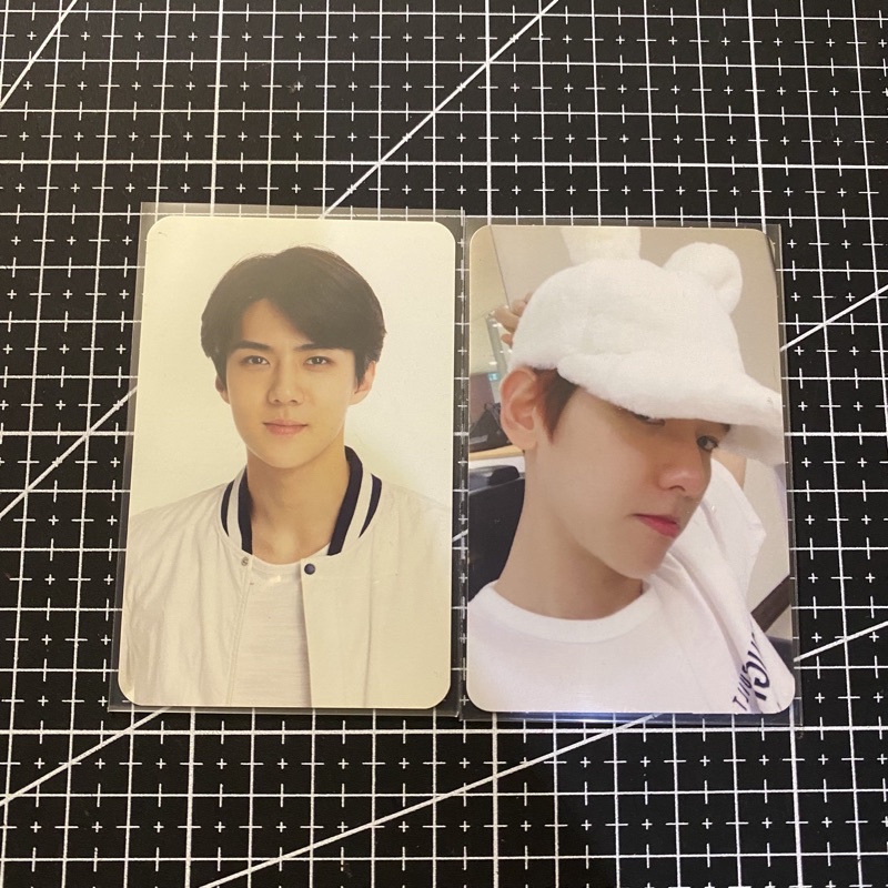Photocard album EXO baekhyun bunny for life pair sehun exoluxion