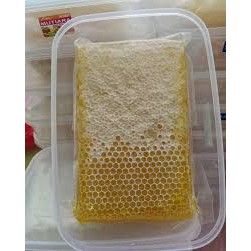 

MADU SARANG 500 GRAM ASLI ORIGINAL - KOMBINASI MADU DAN SARANGNYA - KMP MUTIARA