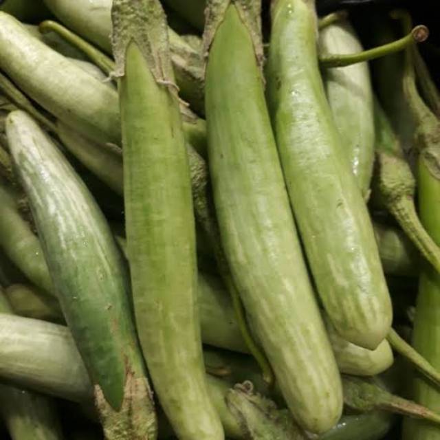

Terong Medan Segar 500 Gram