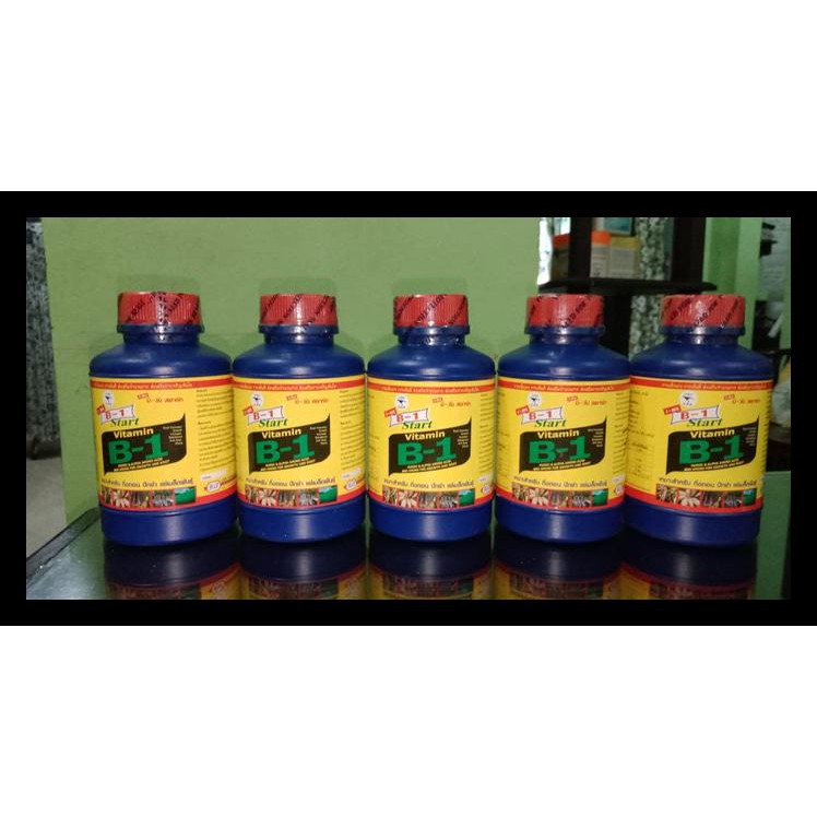 Diskon Pupuk Vit B1 Thailand