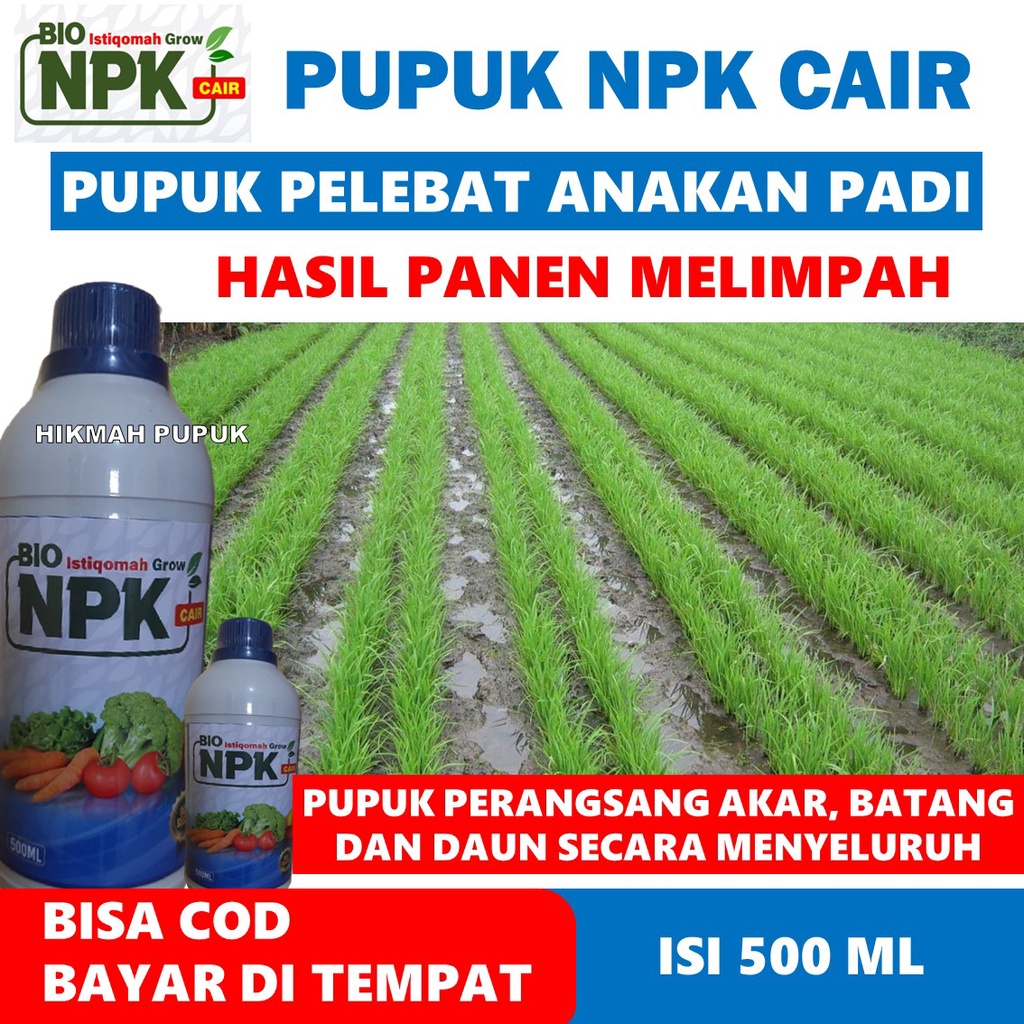 Pupuk NPK Cair BIO ISTIQOMAH GROW Pelebat Anakan Padi 500 ML, Pupuk Organik Pelebat Pada Tanaman Pad