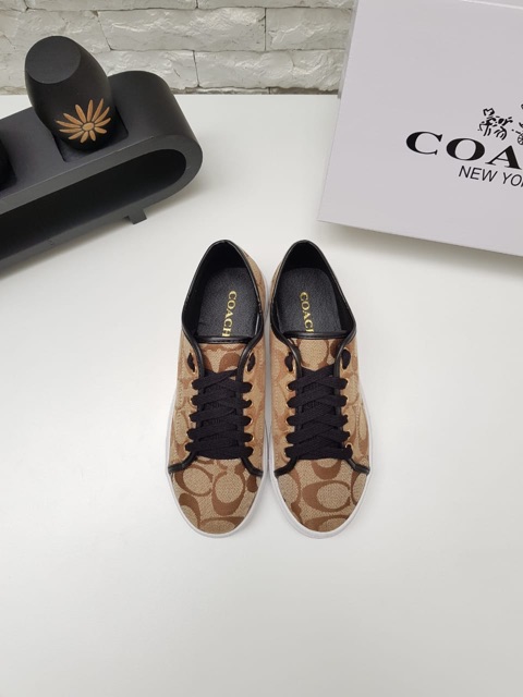 salomon quest prime gtx hiking boot