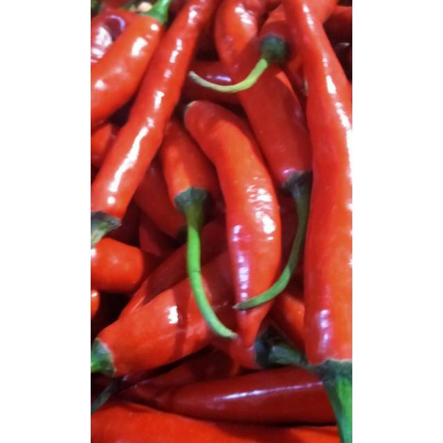 

Cabe merah besar 500 gr